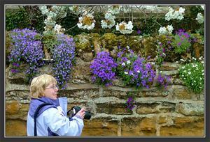 Ever so gentle lady, Margaret clicking the flowers