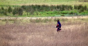 Masai on the field