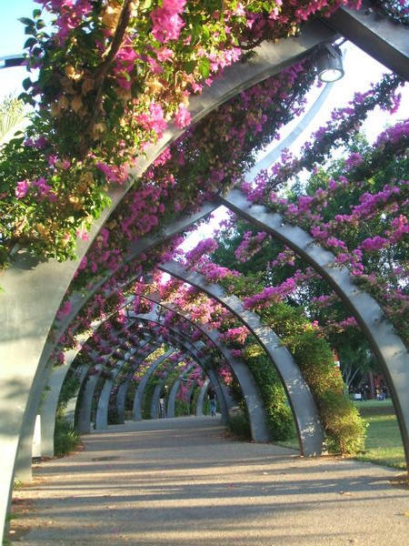 The South Bank Arbor