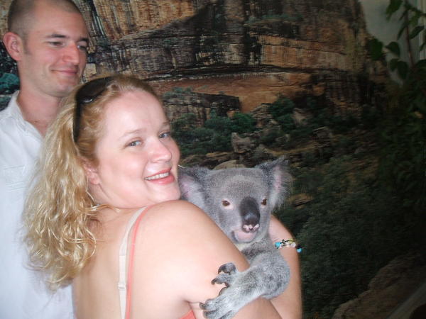Cuddley Koala