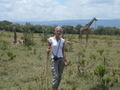 You never get tired of walking with giraffe!