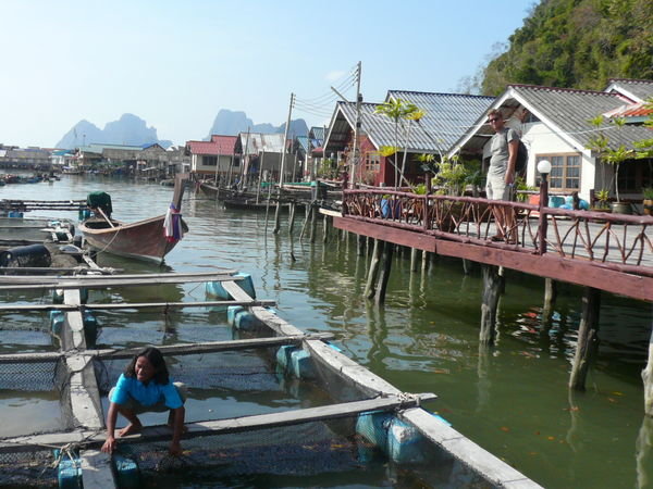 Fish farming, Ko Panyi