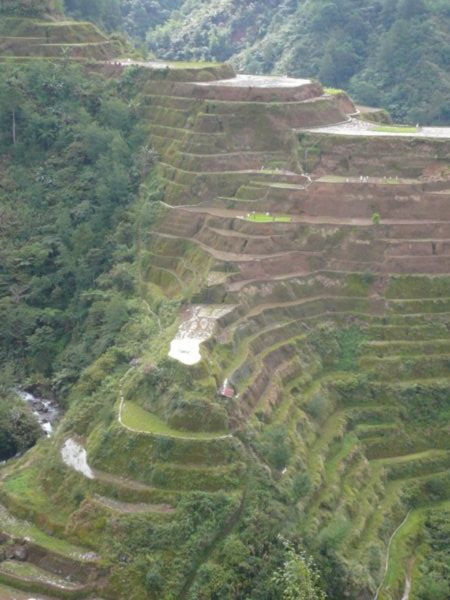 Impossibly steep rice terraces, Banaue