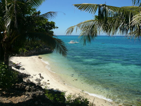 One of Malapscua's postcard beaches