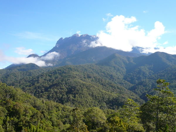 Mt. Kinabalu from our room- early morning before the clouds obscure it.