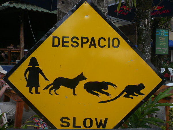 Watch out for people, dogs, sloths, and monkeys!