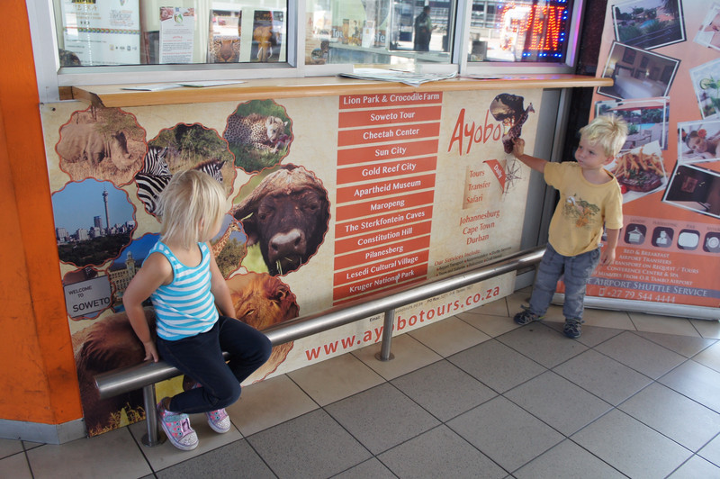 Checking out the African animal pictures in Johannesburg while waiting for our shuttle bus