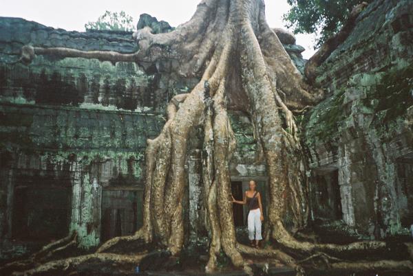 Even Bigger Tree Roots in the Ruins