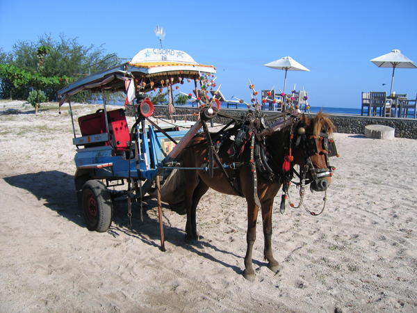 Island's only Transport