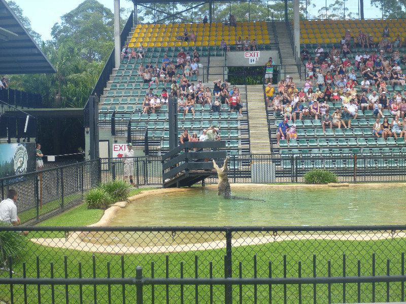 2 Australia Zoo (1)