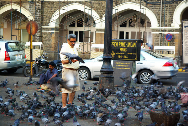 the touristy thing to do at the gateway of india