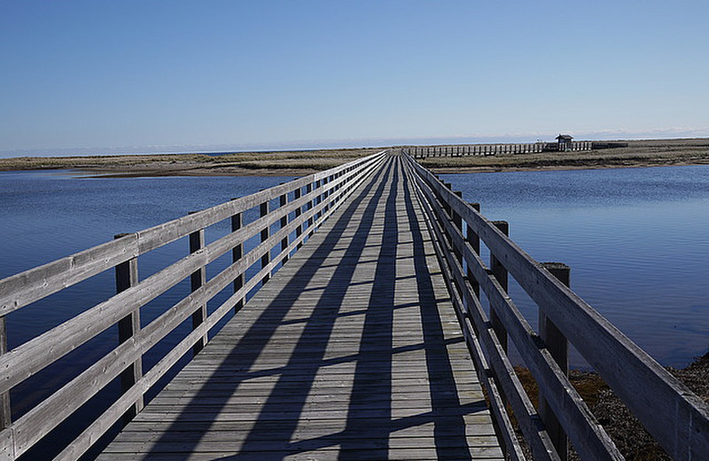 The boardwalk to the beach