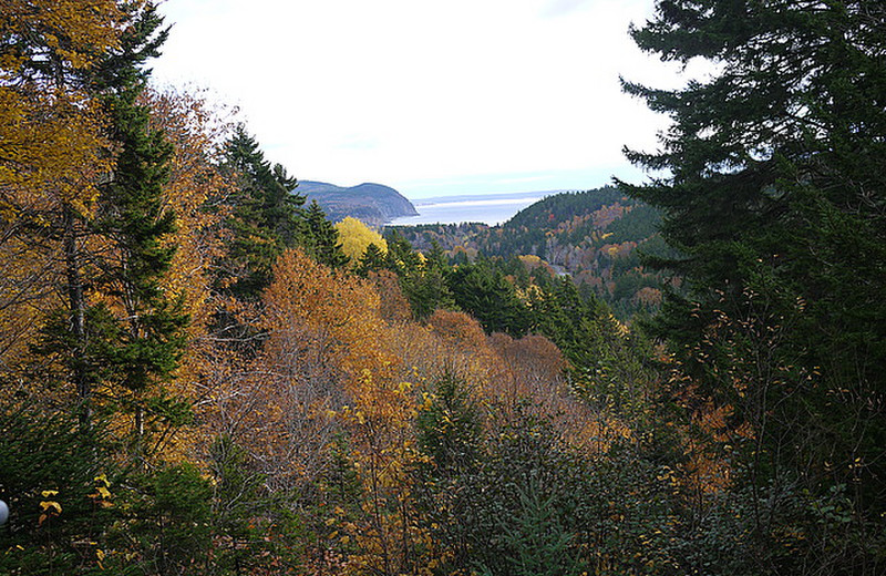 View over Fundy Park