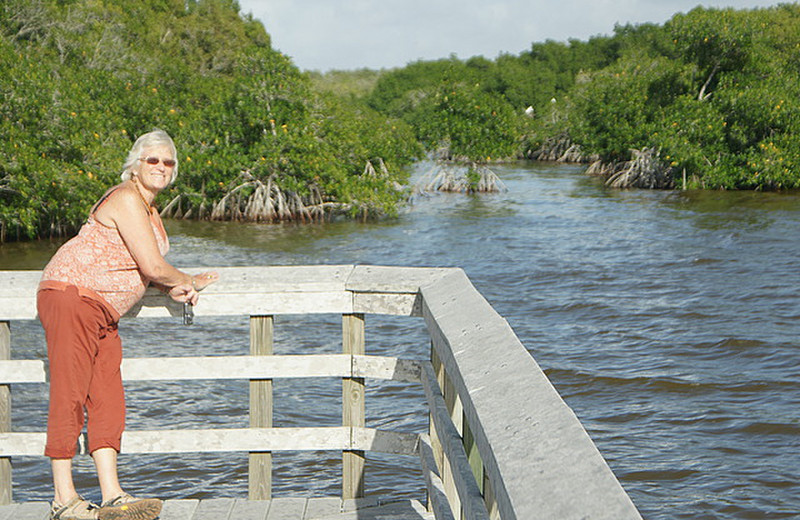 Liz on a boardwalk in the mangroves