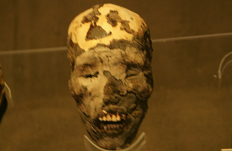 A mummified head