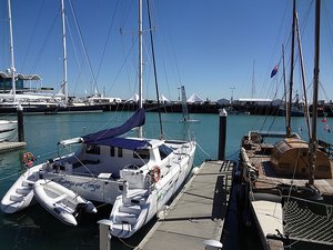 boats in Auckland harbour