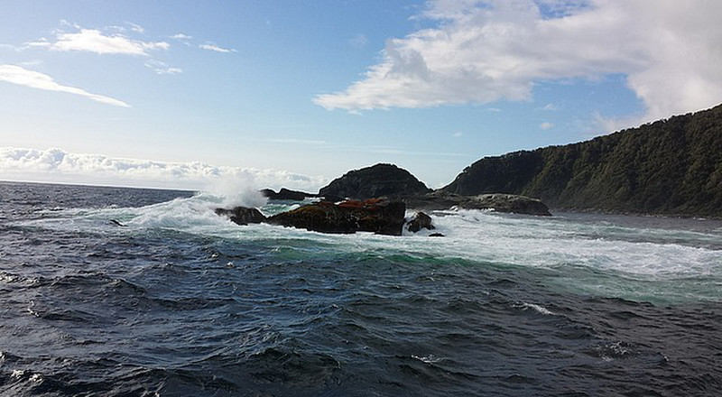 out into the Tasman sea - a bit rougher
