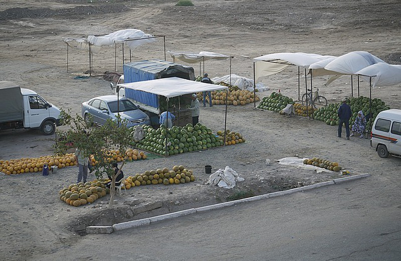 the melon market