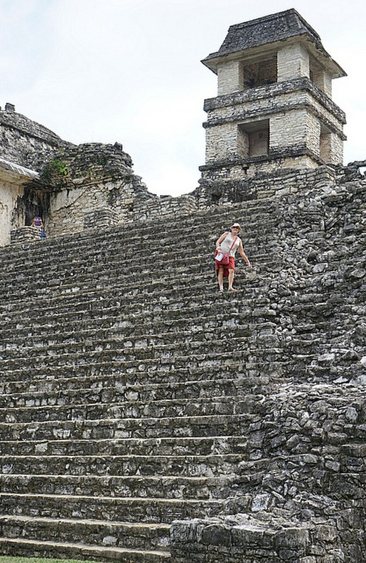 Climbing the Palace steps