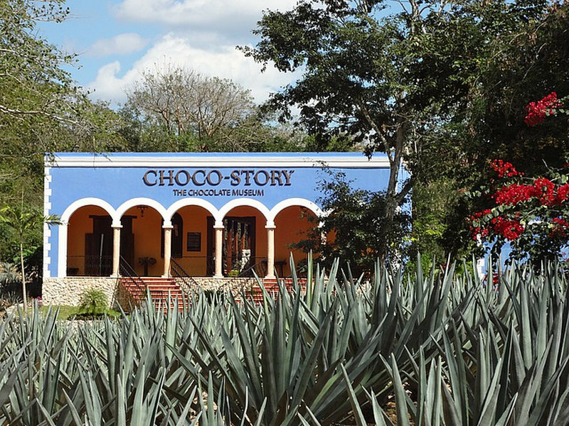 The Chocolate museum