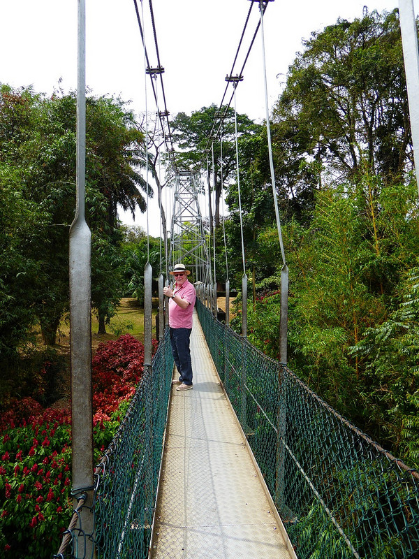 Dodgy bridge in botanical garden
