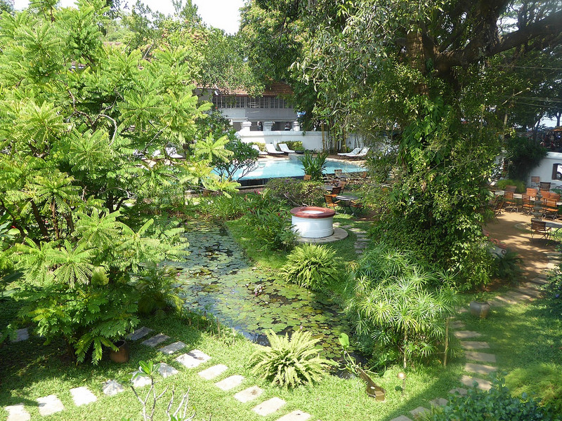 lovey garden and pool, at Old Harbour Hotel
