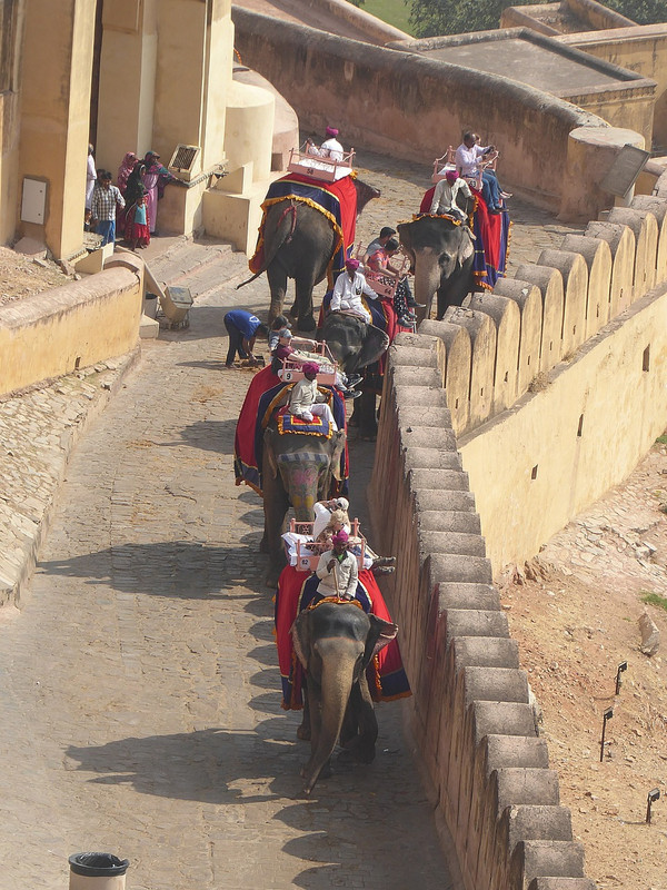 transport up and down to the Amber Fort