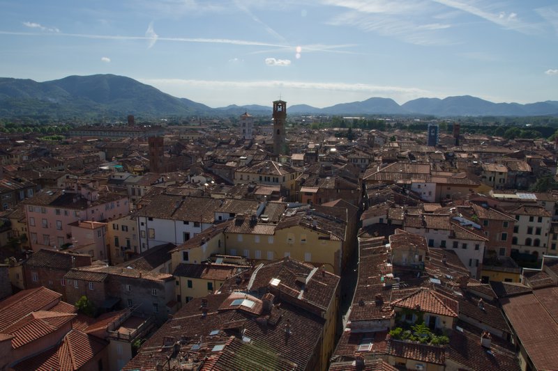 View from the Guinigi Tower