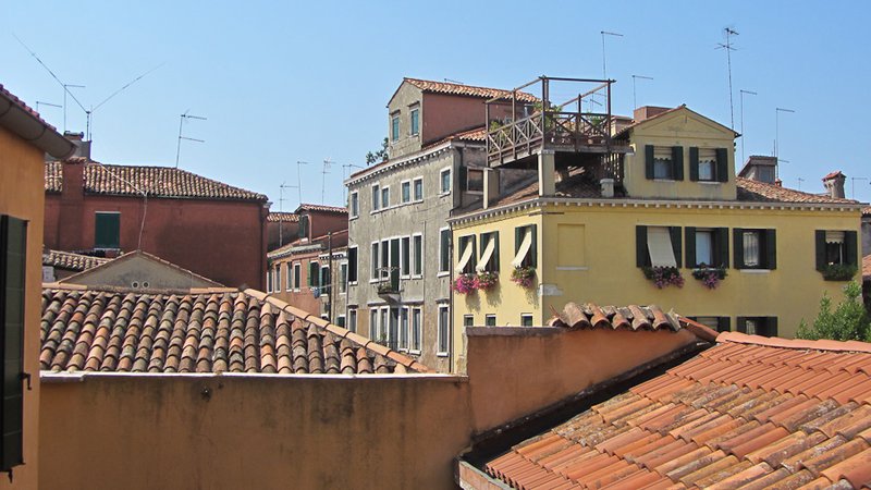 Rooftop views