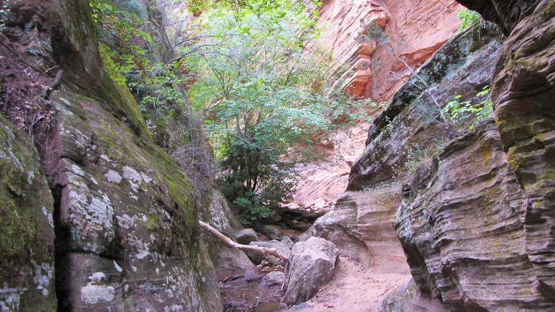 Into the Hidden Canyon