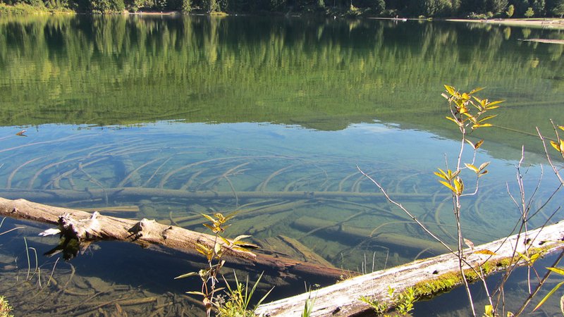 Ridiculously clear water