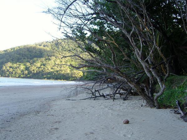 Cairns Cow Bay