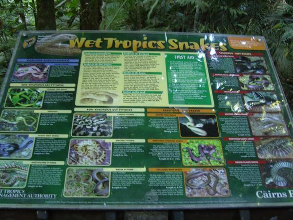 Cairns Rainforest Park