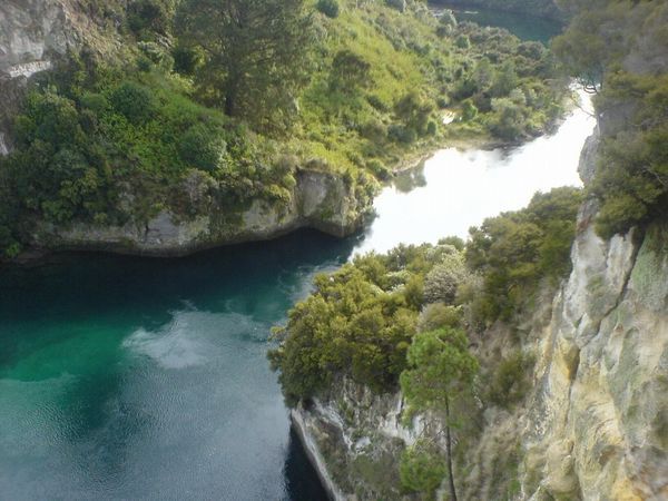 Taupo bungy