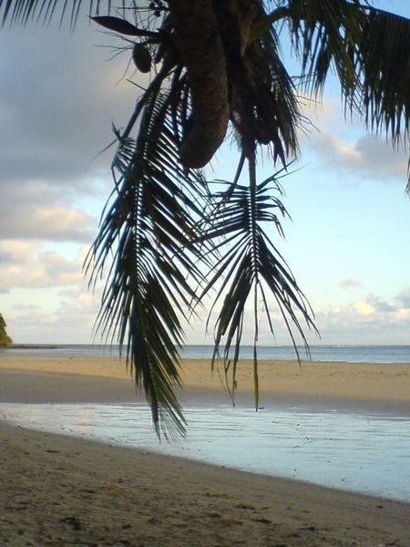 Fiji Coral coast