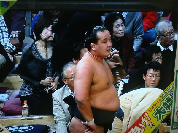 Sumo but only on TV :(
