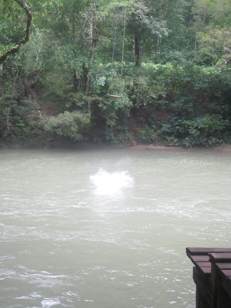 River Swing Jump