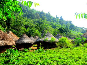 כפר של ילידים באמצע הג'ונגל