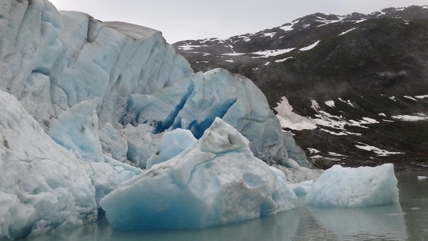 Reid Glacier, Glacier Bay