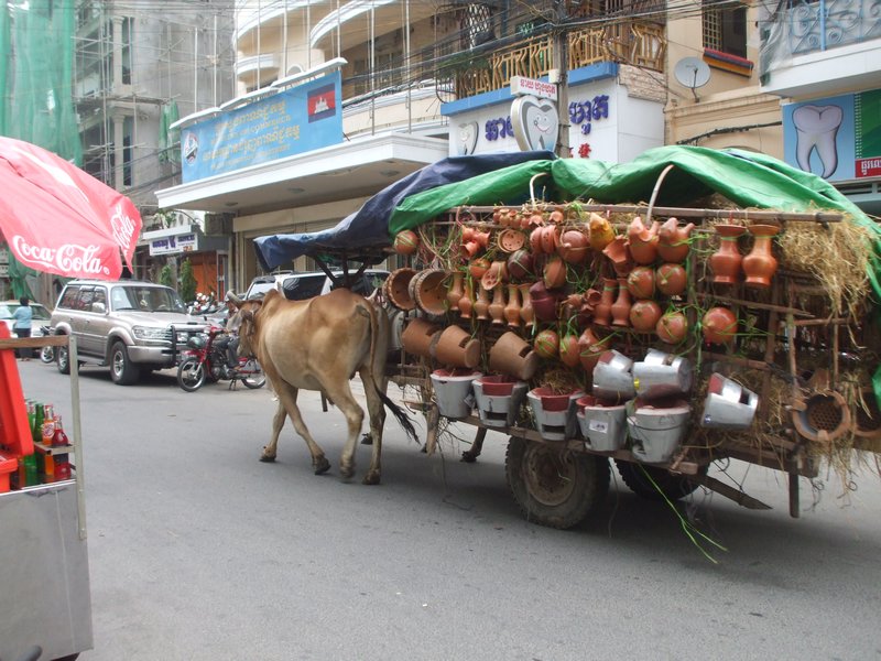 Phnom Penh - Ox cart