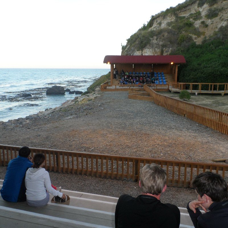 Blue penguin colony centre