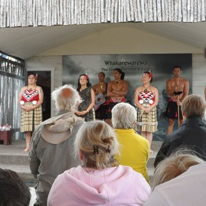 Maori performance