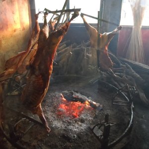 Patagonian lamb over the fire