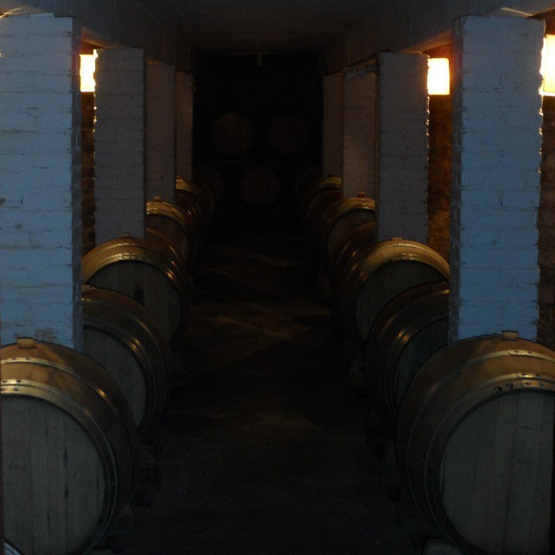 In the Cellar