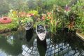 Cloud Forest - Pond with Lego plants