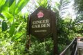 Singapore Botanic Gardens