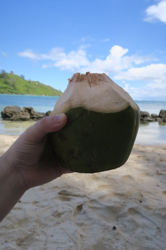Coconut water with rum