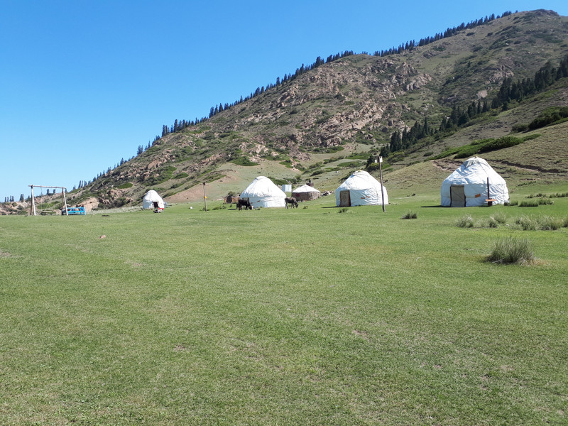 Yurt camp in a valley