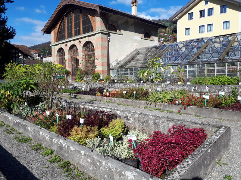 Oberhofen gardens
