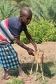 Our photographer with baby gazelle